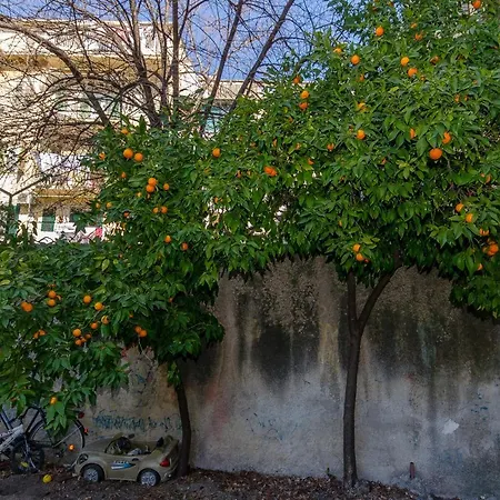 Apartament Dujam Split